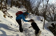 Salita pomeridiana al MONTE SUCHELLO (1541 m) ben innevato da Costa Serina 1l 10 marzo 2016  - FOTOGALLERY